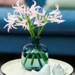 #Blogst16 | Blogst Konferenz 2016