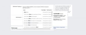 Facebook Ads Zielgruppen Detailed Targeting